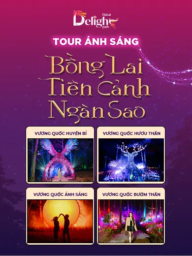 Tour ánh sáng ngàn Sao Delight Park Đà lạt