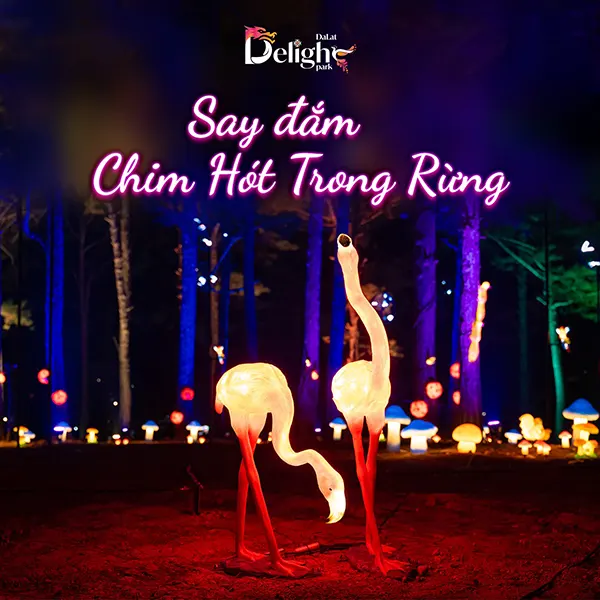 Chim hót trong rừng Delight Park