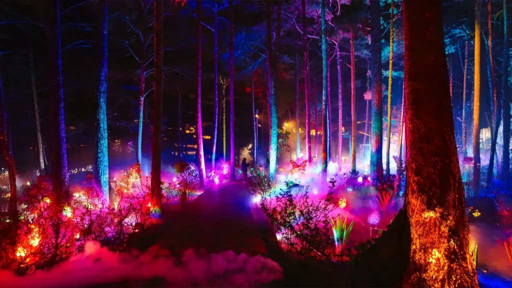 Khu rừng ánh sáng Delight Park