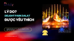 Lý do Delight Park được yêu thích