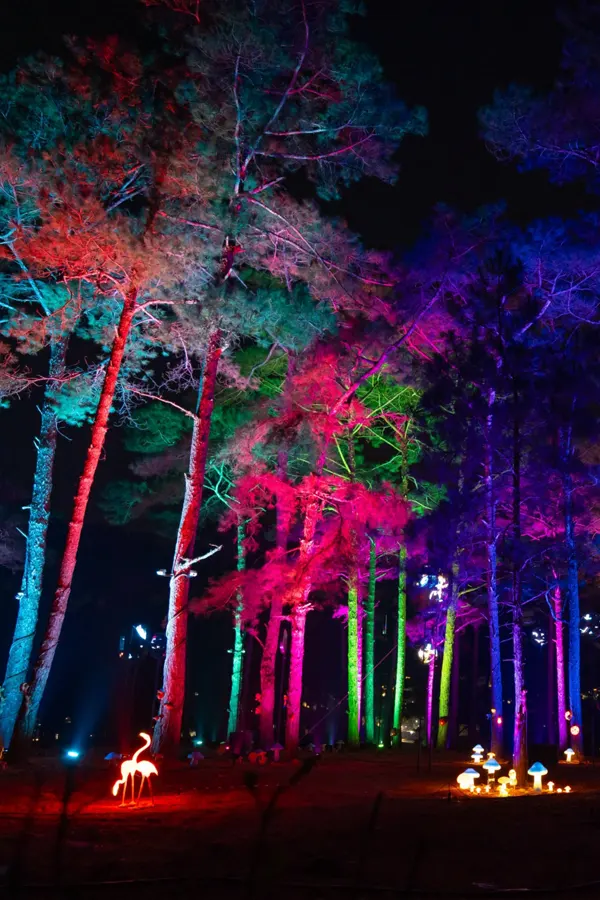 Tour bồng lai tiên cảnh ngàn sao