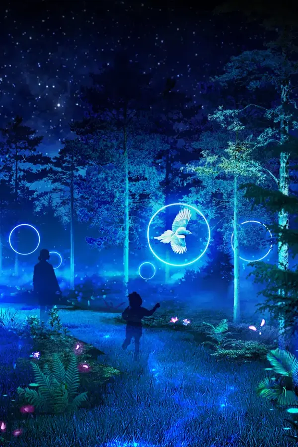 Tour bồng lai tiên cảnh ngàn sao