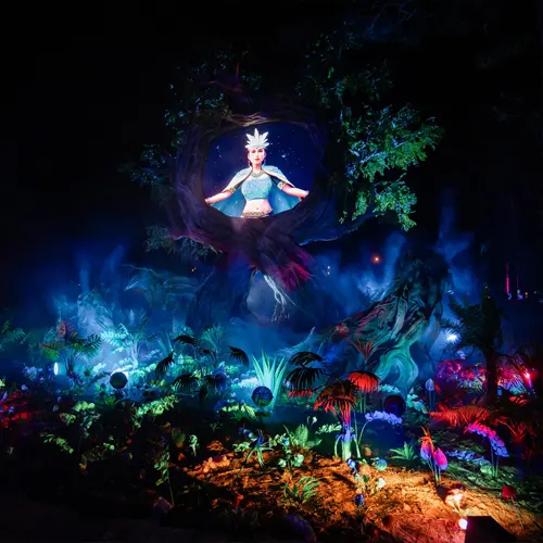 Tour đêm bồng lai tiên cảnh ngàn sao