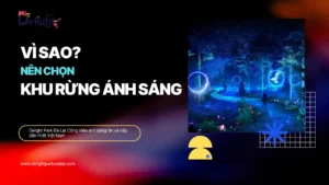 Vì sao nên chọn khu rừng ánh sáng delight park