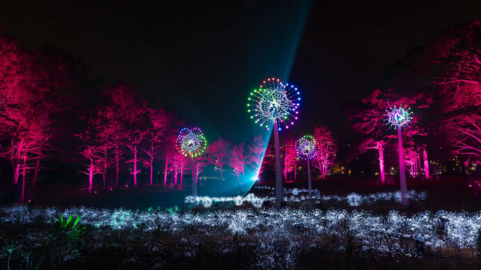 Công viên Delight Park