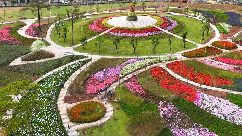 Vườn Hoa Phượng Hoàng